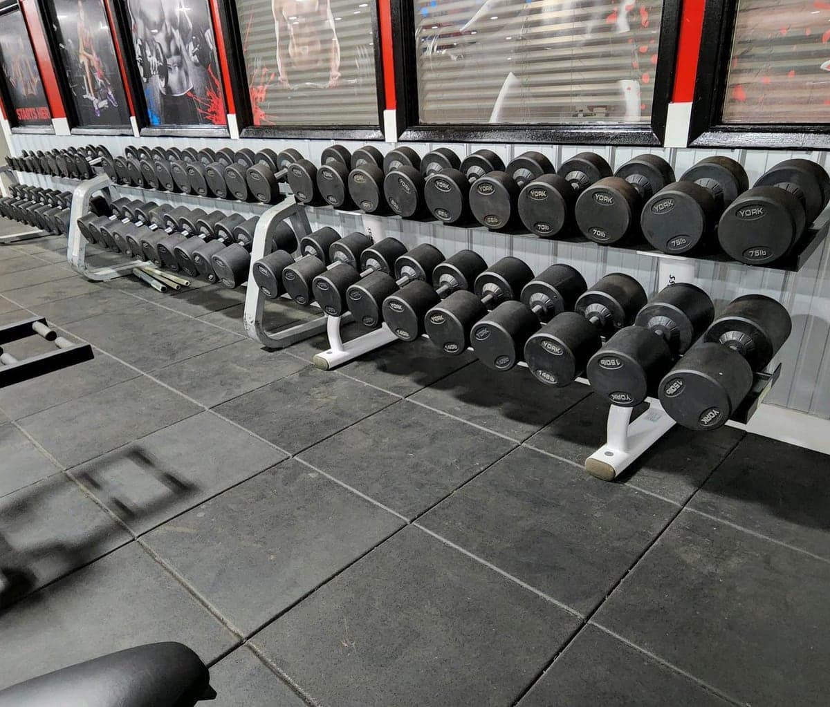 Ryse Athletic Club in 2022